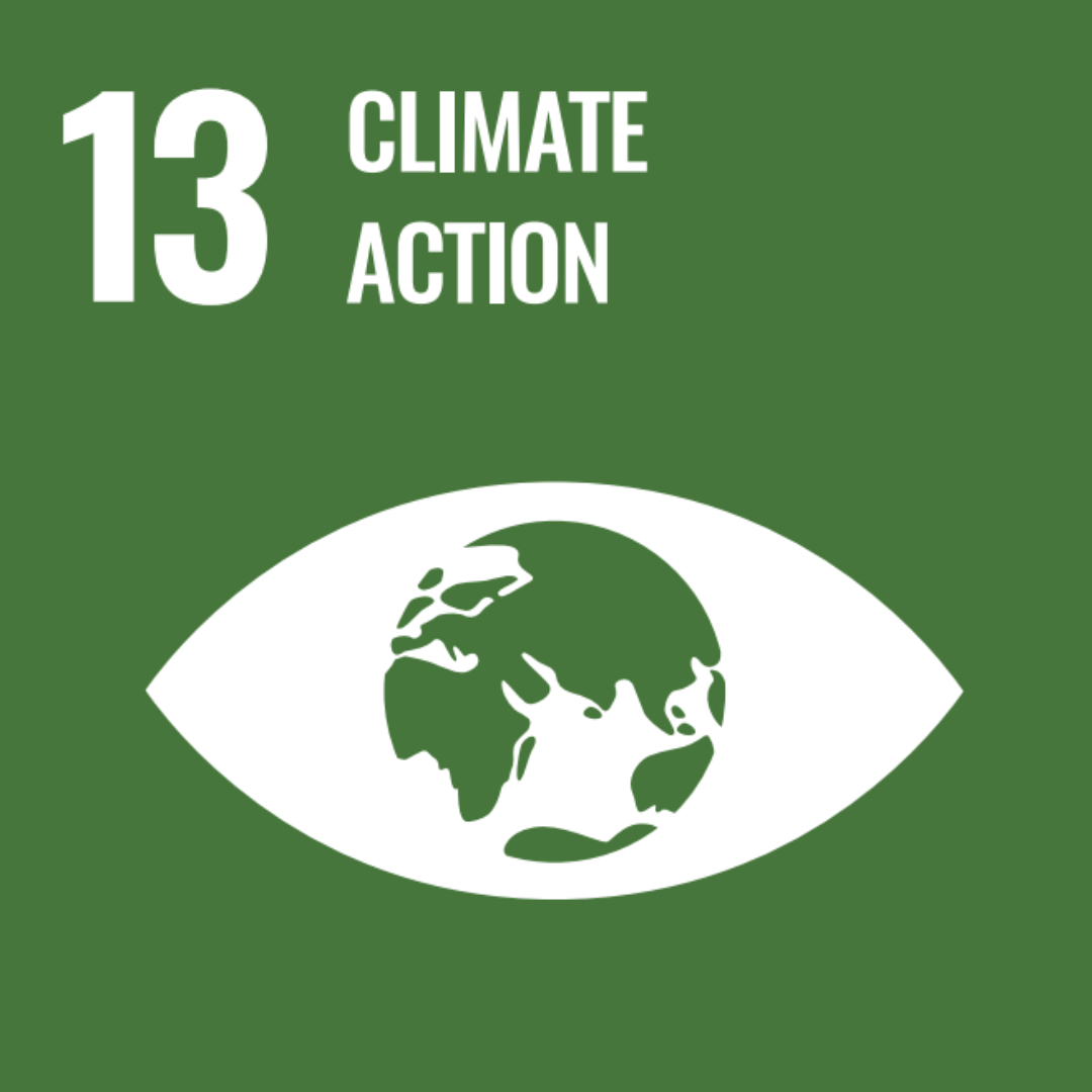 SDG13Climate.jpg