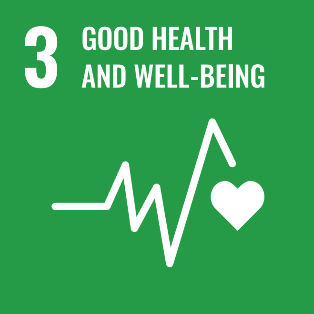 SDG3GoodHealth.jpg