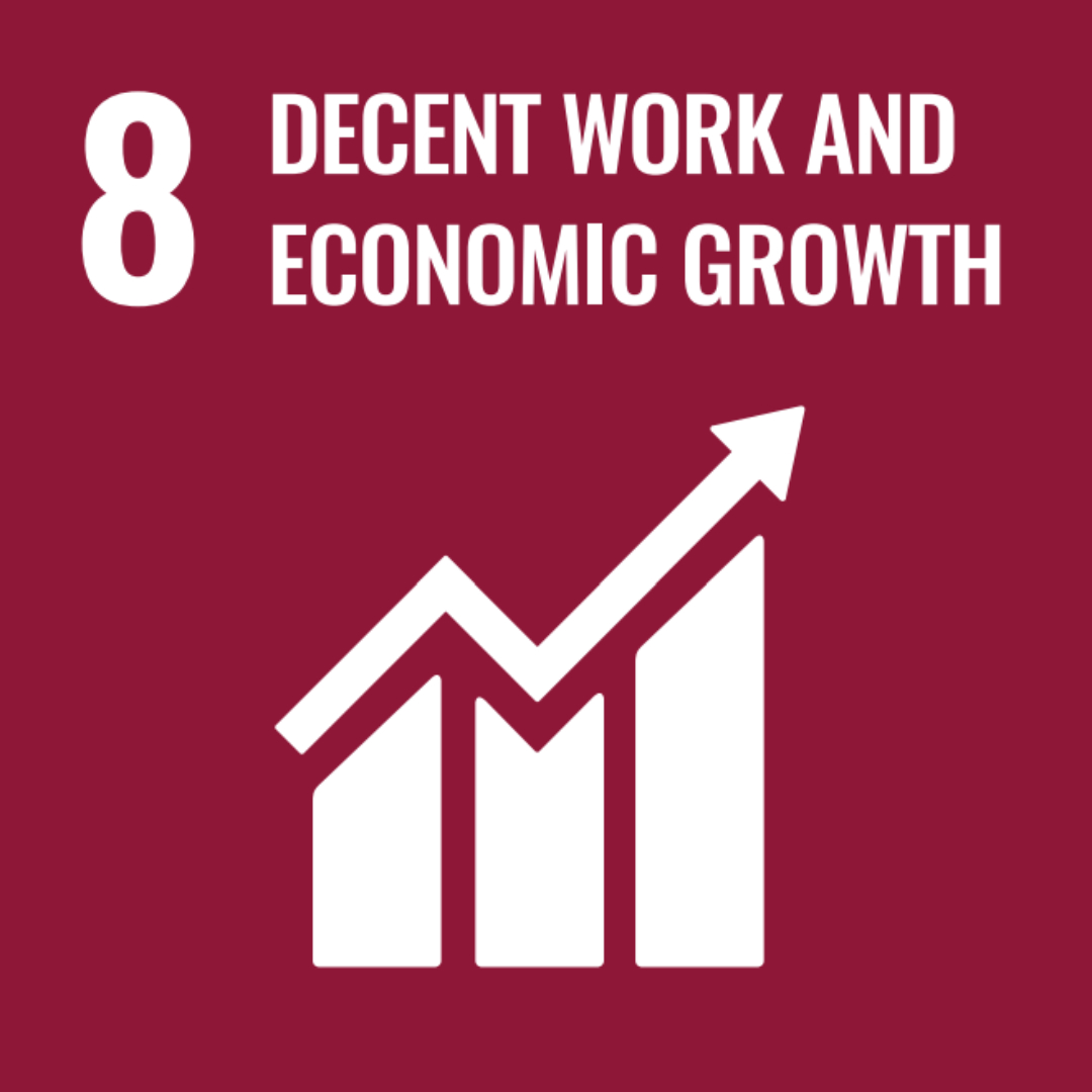 SDG8DecentWork.jpg