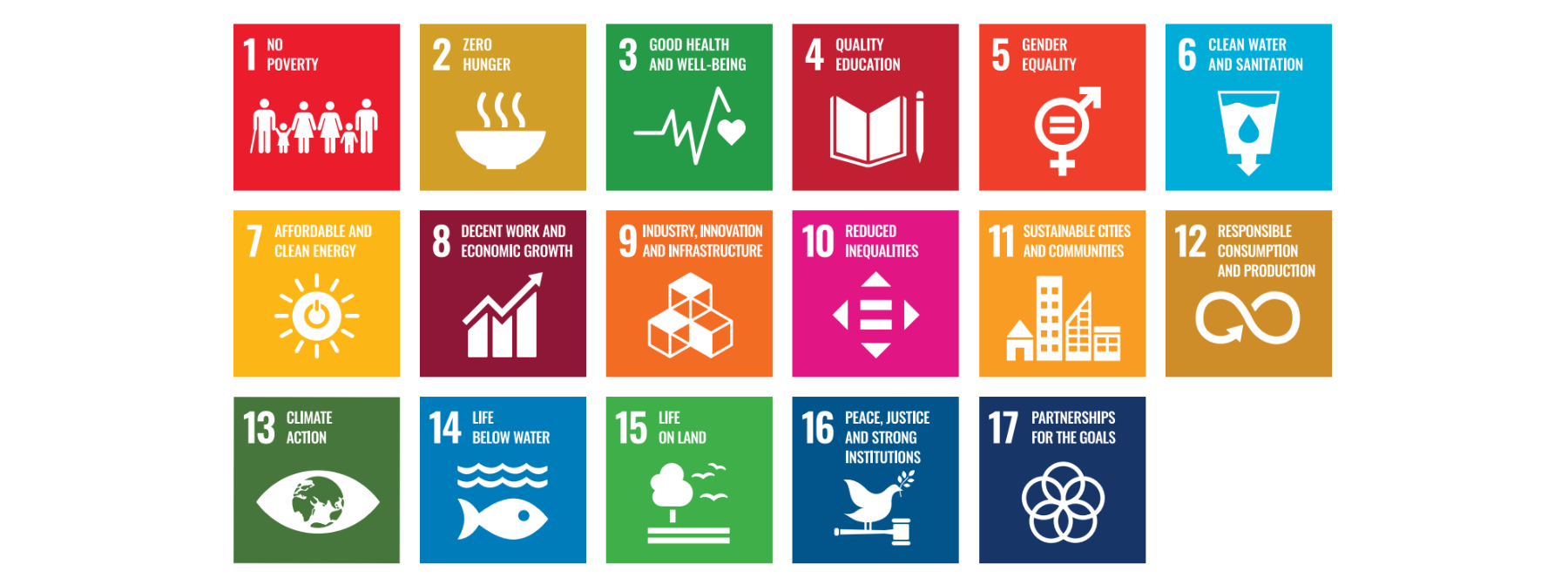 SDGs BIG website.jpg